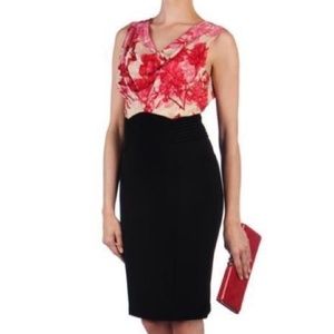 Beautiful Ted Baker dress